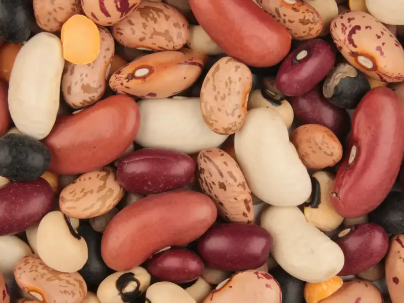 تشكيلة من البذور والبقوليات