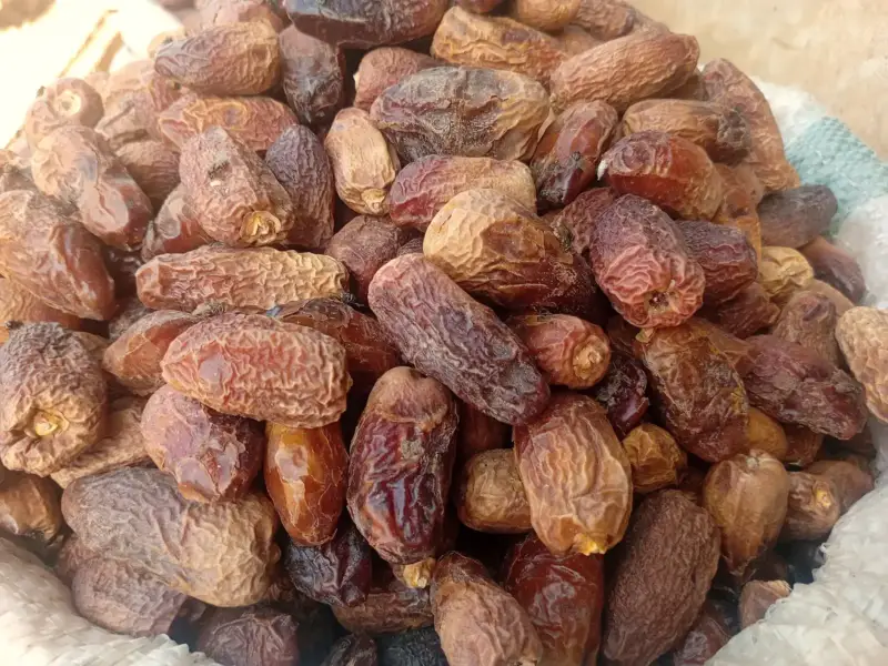 تمر سيوي مصري نصف جاف بلون بني ذهبي في كرتونة تصدير